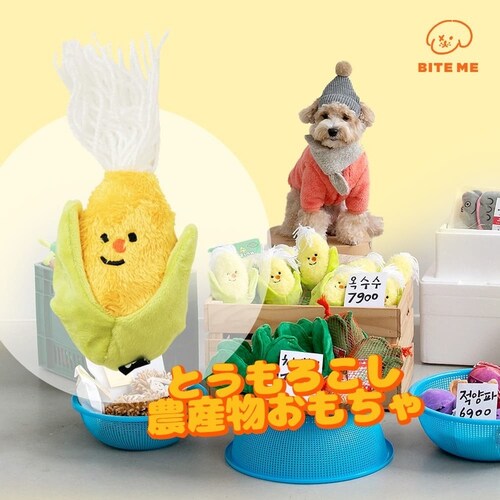 �_�Y����������|�g�E�����R�V_2