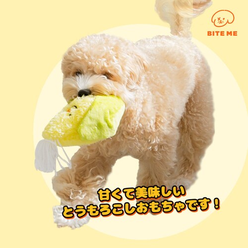 �_�Y����������|�g�E�����R�V_3