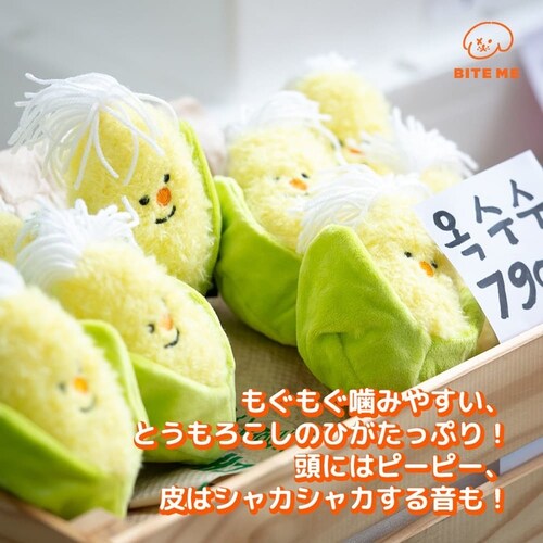 �_�Y����������|�g�E�����R�V_4