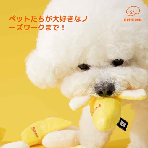 �o�i�i �m�[�Y���[�N��������_4