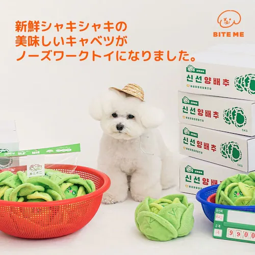 キャベツくんくんボールおもちゃ_3