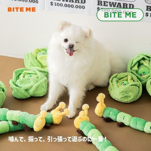 あおむしおもちゃ_6