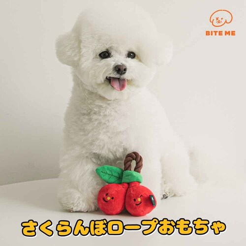 �`�F���[���[�v��������_2