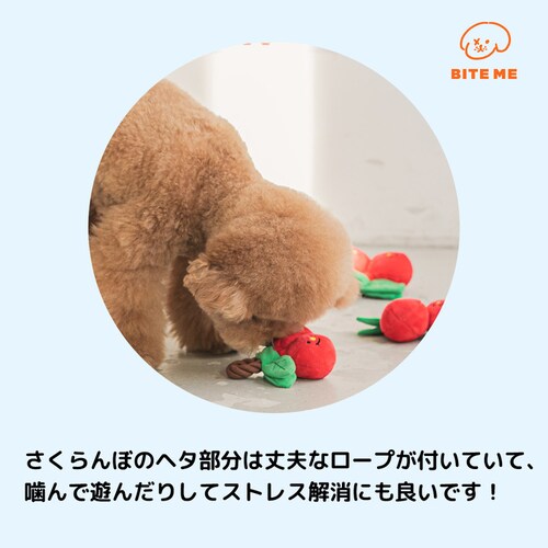 �`�F���[���[�v��������_4