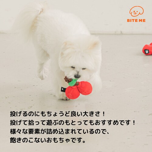 �`�F���[���[�v��������_5