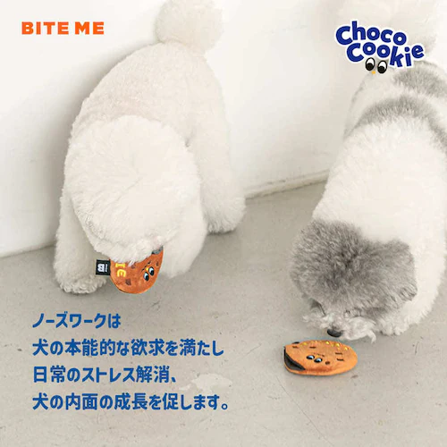 �`���R�`�b�v�N�b�L�[��������i2�Z�b�g�j_3