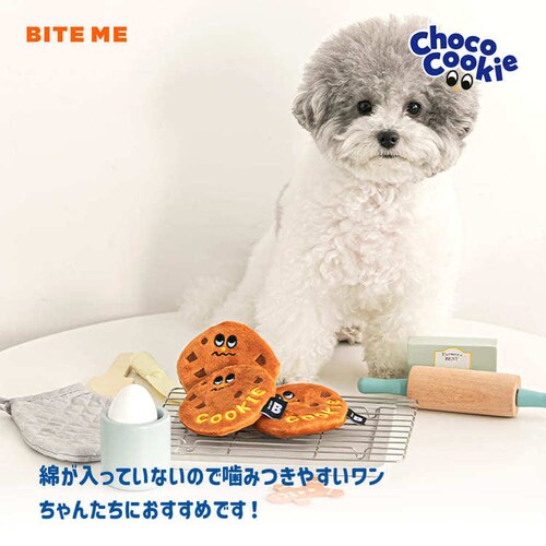 �`���R�`�b�v�N�b�L�[��������i2�Z�b�g�j_6