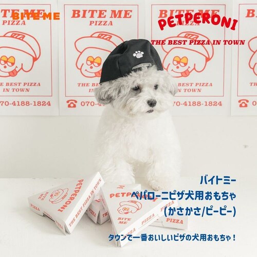 �y�p���j�s�U��������_2