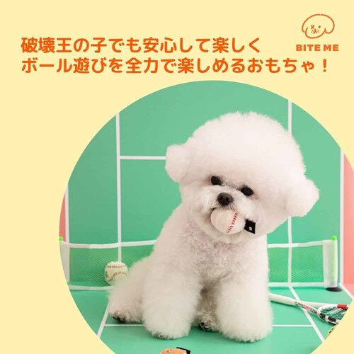 �~�j�X�|�[�c�{�[����������Z�b�g�i3���j_3