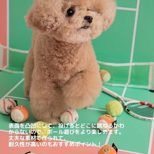 �~�j�X�|�[�c�{�[����������Z�b�g�i3���j_4