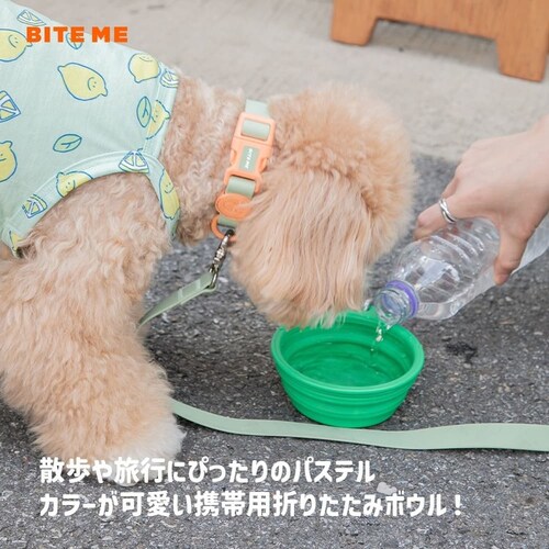 �g�їp�܂肽���݃{�E���p�X�e�� ������_2