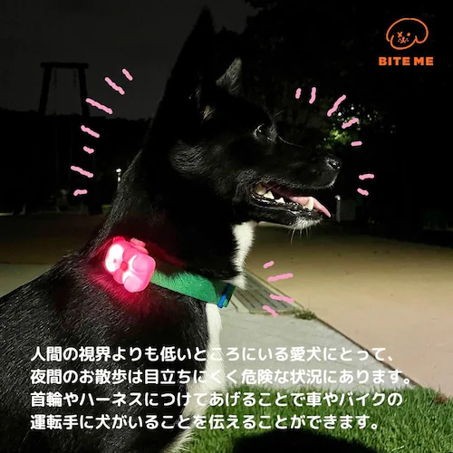 ジェリーベアLEDライト メロン_5