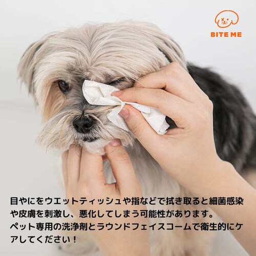 �W�F���[�x�A�[ ���E���h �t�F�C�X�R�[��_3