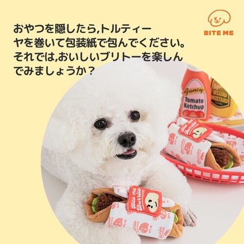 ブリトーノーズワークおもちゃ_6