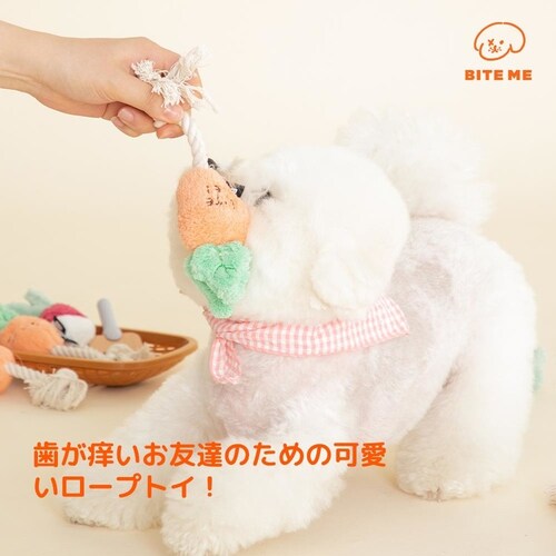 ���؃��[�v�g�C �ɂ񂶂�_3