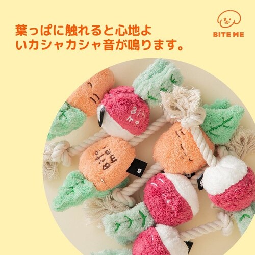 ���؃��[�v�g�C �ɂ񂶂�_5