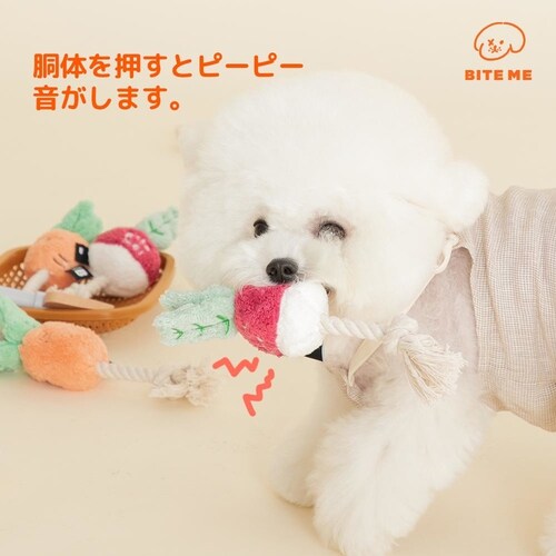 ���؃��[�v�g�C �ɂ񂶂�_6