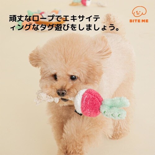 ���؃��[�v�g�C �ɂ񂶂�_7