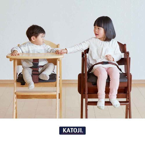 KATOJI �ؐ����C�h�n�C�`�F�A �X�e�b�v�؂�ւ� 22418 �i�`������_12