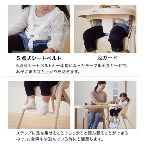 KATOJI �x�r�[�`�F�A ���[�X 22508 �~���N_4