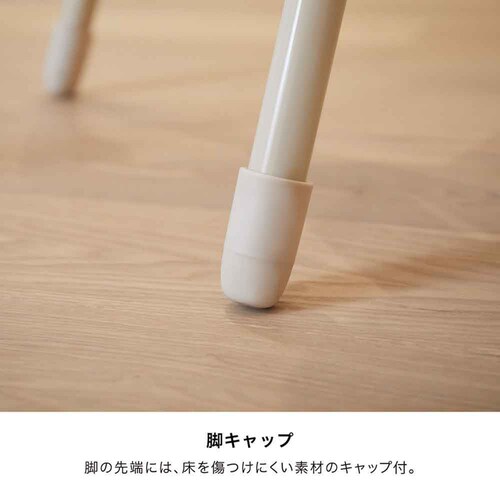 KATOJI �x�r�[�`�F�A ���[�X 22508 �~���N_10