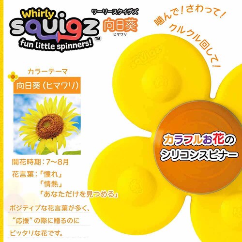 �Ԃ���� �������� ���[���[�X�N�C�O�Y �������� �N���N�����z�Օt�� FA416-4 ������_3