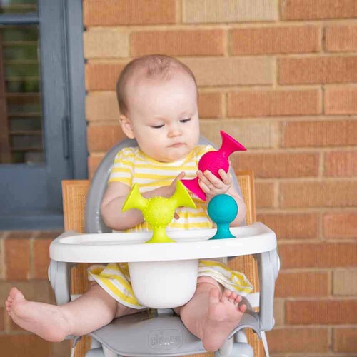 �Ԃ���� �������� �m��ߋ� �s�b�v �X�N�C�O�Y pipSquigz FA089-1_3