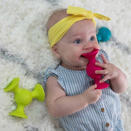 �Ԃ���� �������� �m��ߋ� �s�b�v �X�N�C�O�Y pipSquigz FA089-1_4