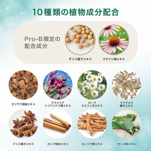 �f���e�B�X �y3�Z�b�g�z�f���e�B�X Pro-B 100g _2