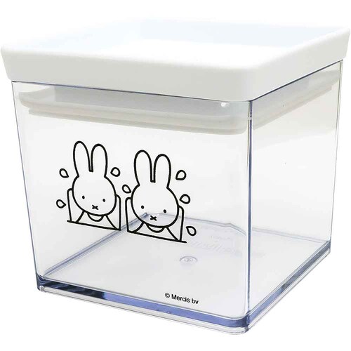 �����������p�b�L���t���L���j�X�^�[�@�r _2