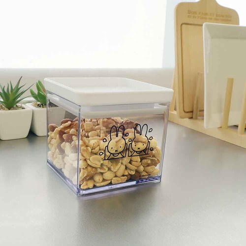 �����������p�b�L���t���L���j�X�^�[�@�r _5