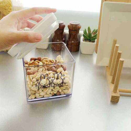 �����������p�b�L���t���L���j�X�^�[�@�r _6