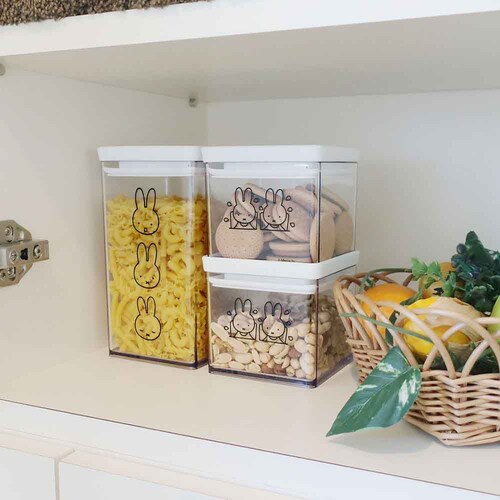 �����������p�b�L���t���L���j�X�^�[�@�r _9