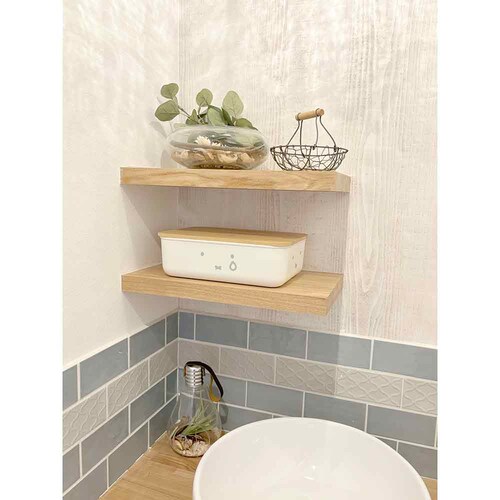 �����������@�o���u�[�t�^�t�����[�P�[�X�i�r�j _4