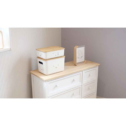 �����������@�o���u�[�t�^�t�����[�P�[�X�i�l�j _5