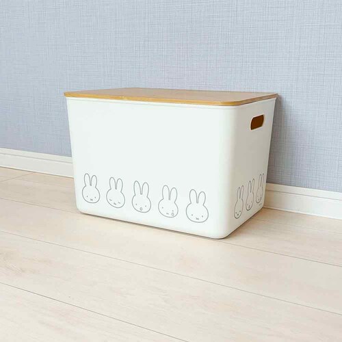 �����������@�o���u�[�t�^�t�����[�P�[�X�i�k�k�j _2