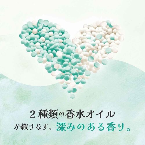 ���m�A�A���}�W���G�� �p�X�e���t���[����&�u���b�T���̍���߂����p����T�C�Y _5