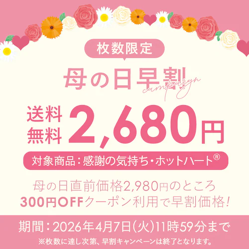 【2026年 母の日】カーネーション鉢植え「感謝の気持ち」_2