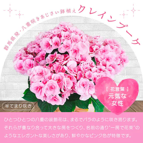 ��̓� 2026 �� �M�t�g ���� �J�[�l�[�V���� ���A�� �I�ׂ�Ԕ� �}�[�K���b�g �A�W�T�C ���z�� 5���� �y���͂���5/6(��)�`5/9(�y)�z�y�����w��s�z_9