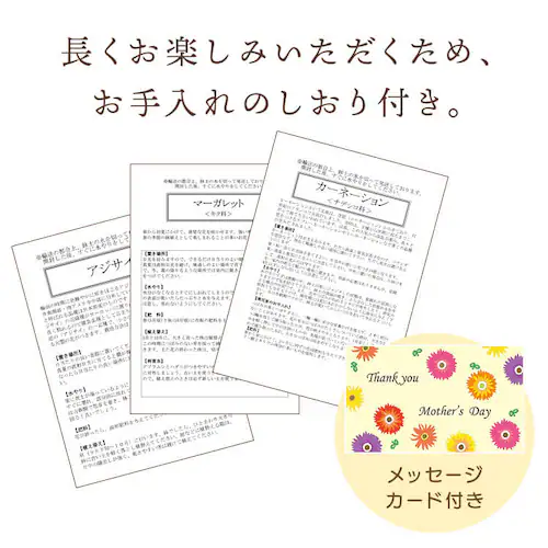 ��̓� 2026 �� �M�t�g ���� �J�[�l�[�V���� ���A�� �I�ׂ�Ԕ� �}�[�K���b�g �A�W�T�C ���z�� 5���� �y���͂���5/6(��)�`5/9(�y)�z�y�����w��s�z_15