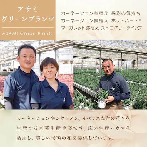 【2026年 母の日】カーネーション鉢植え「感謝の気持ち」_16