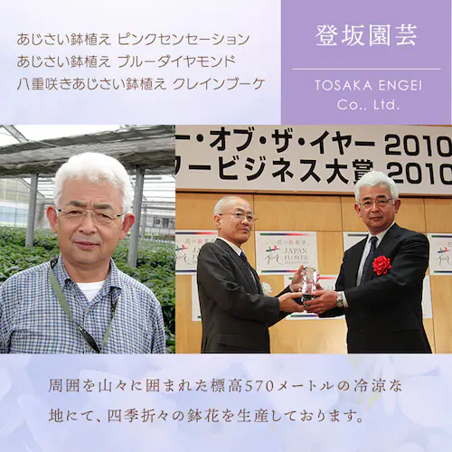 【2026年 母の日】カーネーション鉢植え「感謝の気持ち」_17