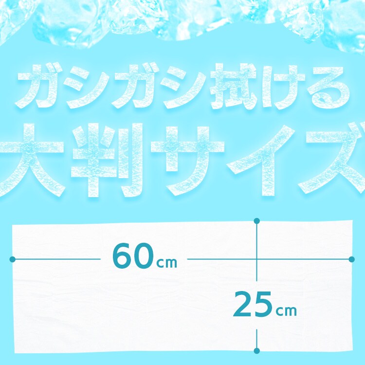 首かけ ひんやり 冷却タオル 25×60cm 10包入り ノンアルコールタイプ