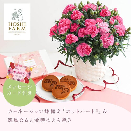 ��̓� 2026 �� �M�t�g ���� �J�[�l�[�V���� �Ӓ��� ���َq�Z�b�g �M�t�g ���A�� �J�[�l�[�V���� �ǂ�Ă� �y���͂���5/6(��)�`5/9(�y)�z�y�����w��s�z�y������s�z_5