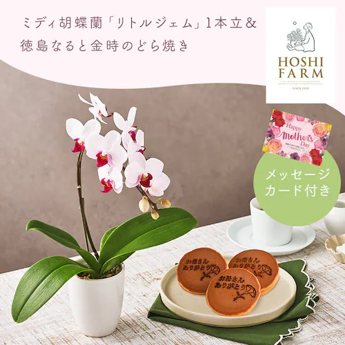 【2026年 母の日】カーネーション鉢植え「ホットハート」&徳島なると金時のどら焼き【お届けは5/6(水)〜5/9(土)】_6