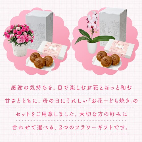 ��̓� 2026 �� �M�t�g ���� �J�[�l�[�V���� �Ӓ��� ���َq�Z�b�g �M�t�g ���A�� �J�[�l�[�V���� �ǂ�Ă� �y���͂���5/6(��)�`5/9(�y)�z�y�����w��s�z�y������s�z_7