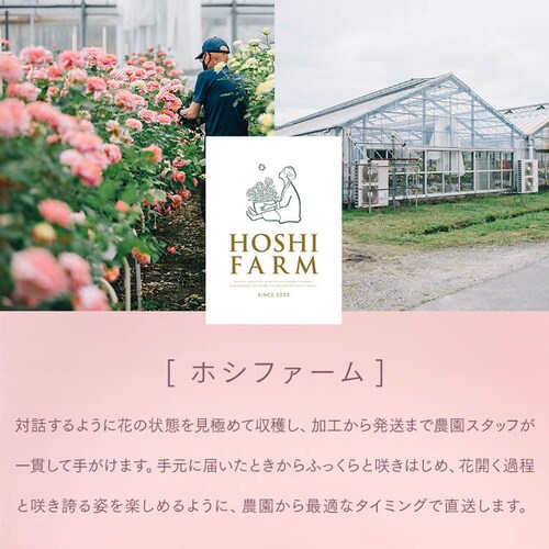 ��̓� 2026 �� �M�t�g ���� �J�[�l�[�V���� �Ӓ��� ���َq�Z�b�g �M�t�g ���A�� �J�[�l�[�V���� �ǂ�Ă� �y���͂���5/6(��)�`5/9(�y)�z�y�����w��s�z�y������s�z_12