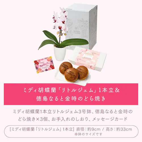 【2026年 母の日】カーネーション鉢植え「ホットハート」&徳島なると金時のどら焼き【お届けは5/6(水)〜5/9(土)】_14