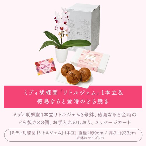 ��̓� 2026 �� �M�t�g ���� �J�[�l�[�V���� �Ӓ��� ���َq�Z�b�g �M�t�g ���A�� �J�[�l�[�V���� �ǂ�Ă� �y���͂���5/6(��)�`5/9(�y)�z�y�����w��s�z�y������s�z_14