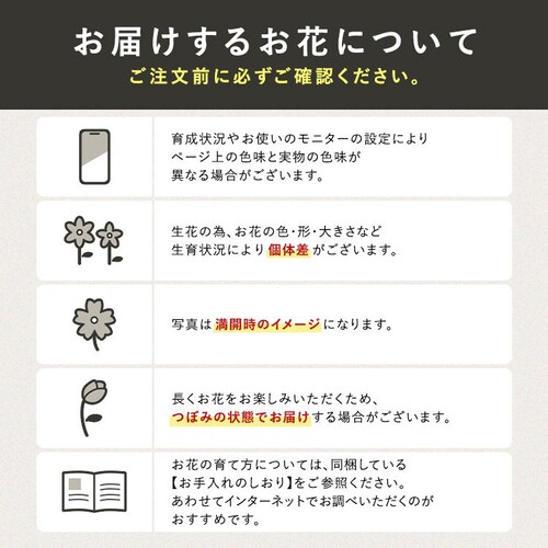 ��̓� 2026 �� �M�t�g ���� �J�[�l�[�V���� �Ӓ��� ���َq�Z�b�g �M�t�g ���A�� �J�[�l�[�V���� �ǂ�Ă� �y���͂���5/6(��)�`5/9(�y)�z�y�����w��s�z�y������s�z_17